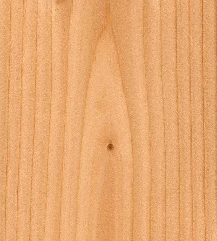 常用的木材种类，图片版介绍说明