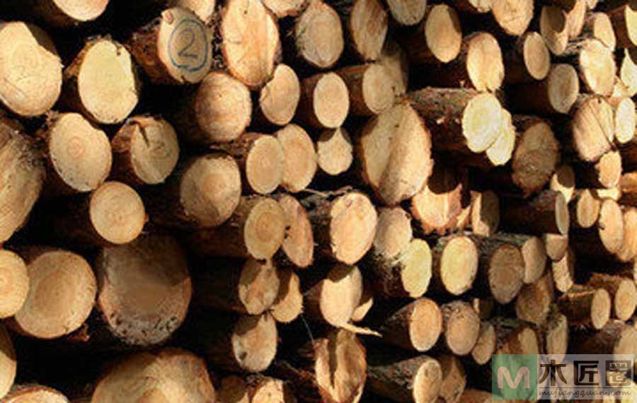 世界各国木材资源一览