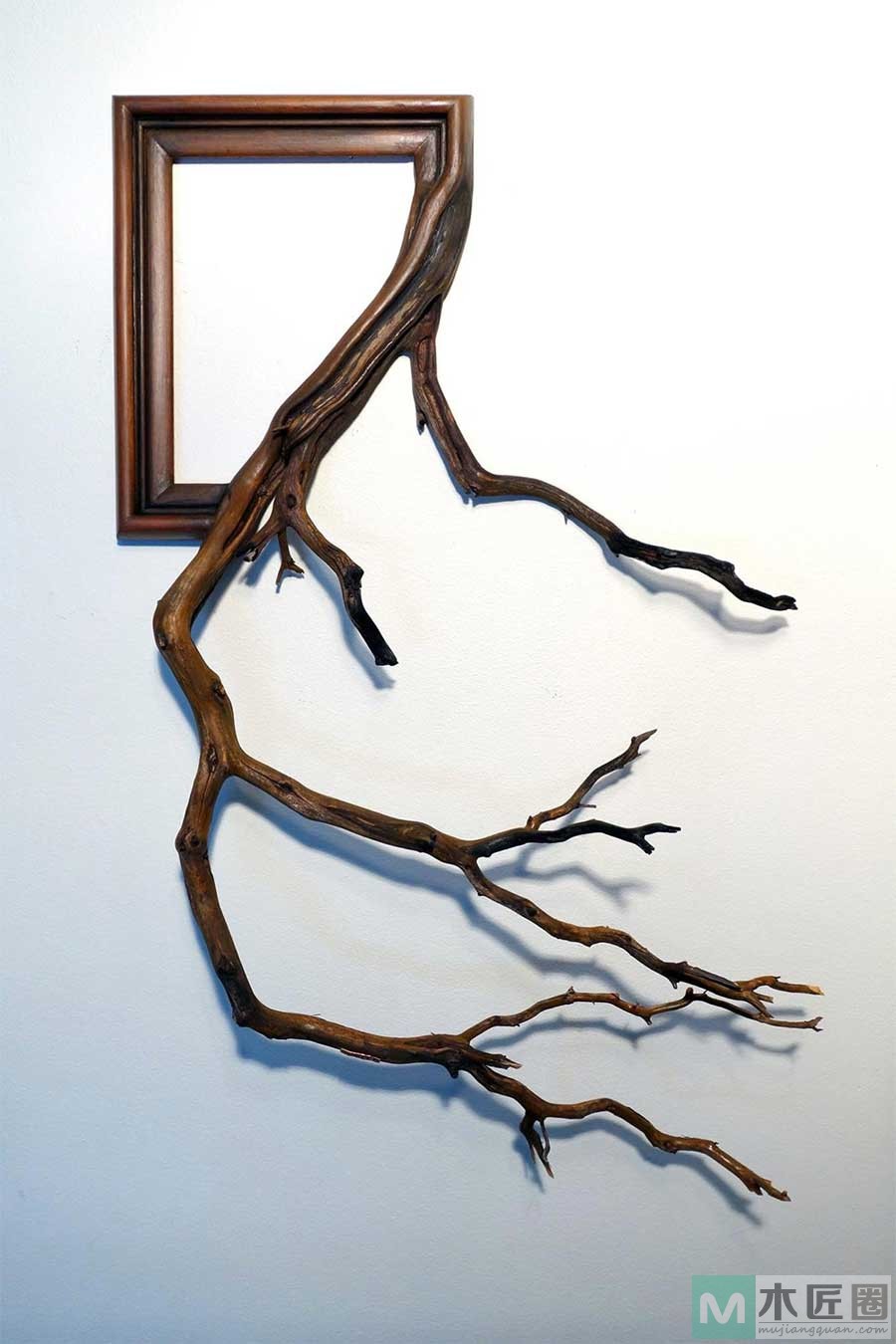 艺术家手中的相框，让相框里长出木头