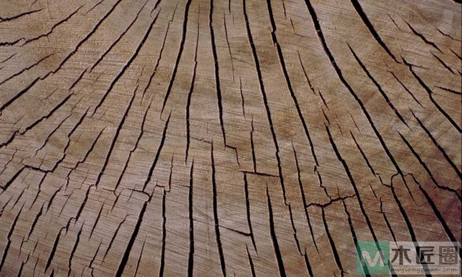 怎样才能防止木材烘时候开裂？