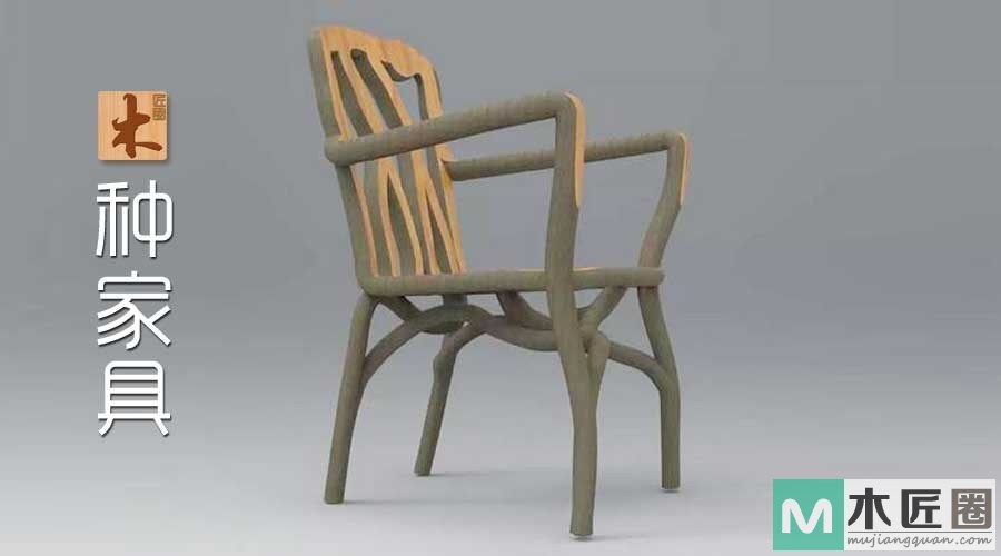 播下树苗长出椅子，一个种出来的创意家具