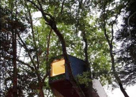 盘点了全球10大最新的树上小屋，逐渐流行起来的树林小屋