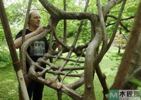 牛气奥地利艺术家，耗时20年创造自然生长的BIG格木椅