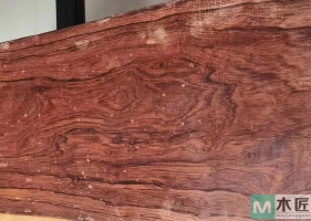 什么是伯利兹黄檀？伯利兹黄檀木材的特征有哪些？