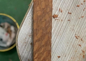 木头上有一块一块的斑点 是什么木头