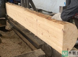 俄罗斯樟子松，材质较强，纹理直，可供建筑、家具等用材