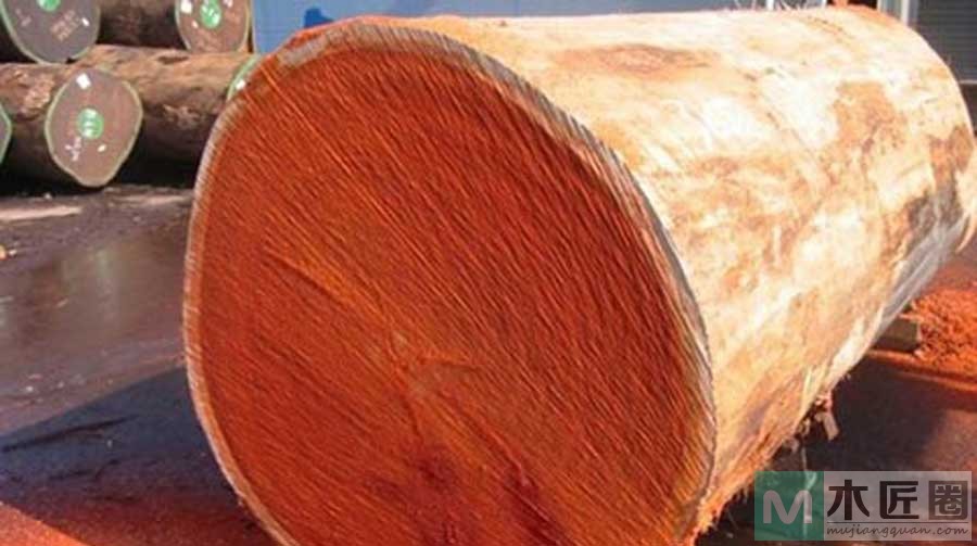 紫檀木的种类多种多样，如何区分小叶紫檀和大叶紫檀