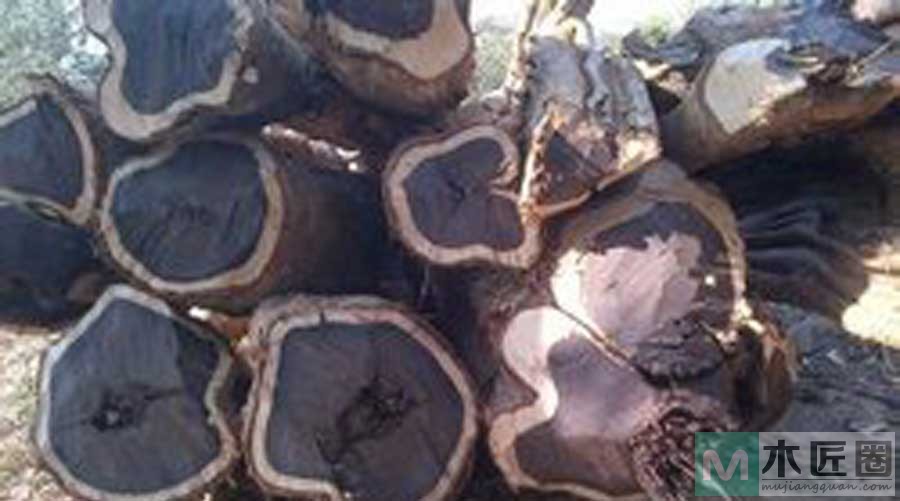 厚瓣乌木，分为角厚瓣乌木外观与加工乌，茶乌，乌纹三类