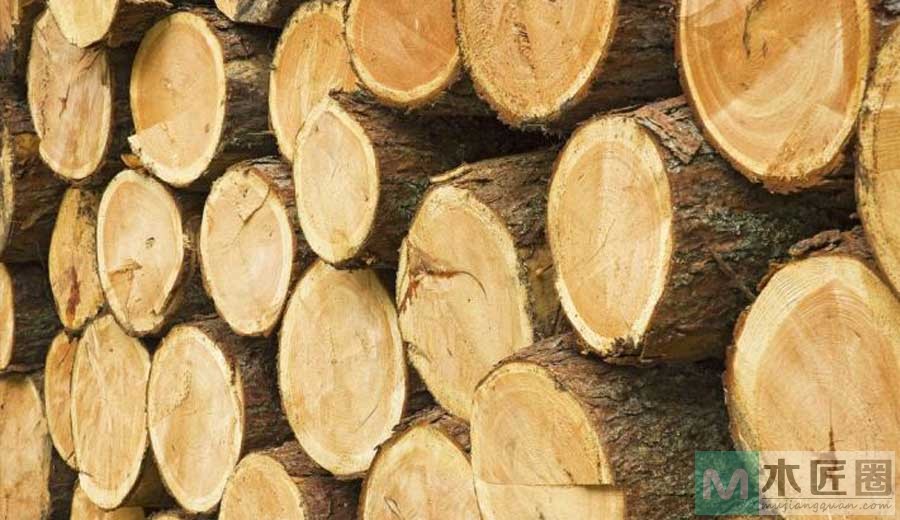 铁刀木和铁力木都属于红木吗？