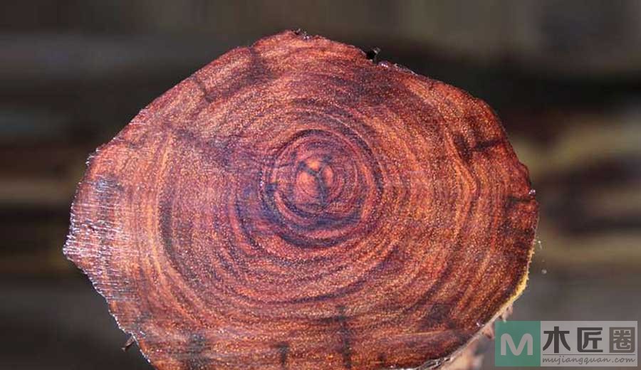 小叶紫檀中的“金星”和“牛毛”辨别