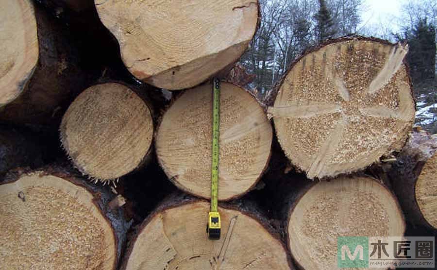 北美白蜡木，即北美水曲柳，用“北美白蜡木”做家具