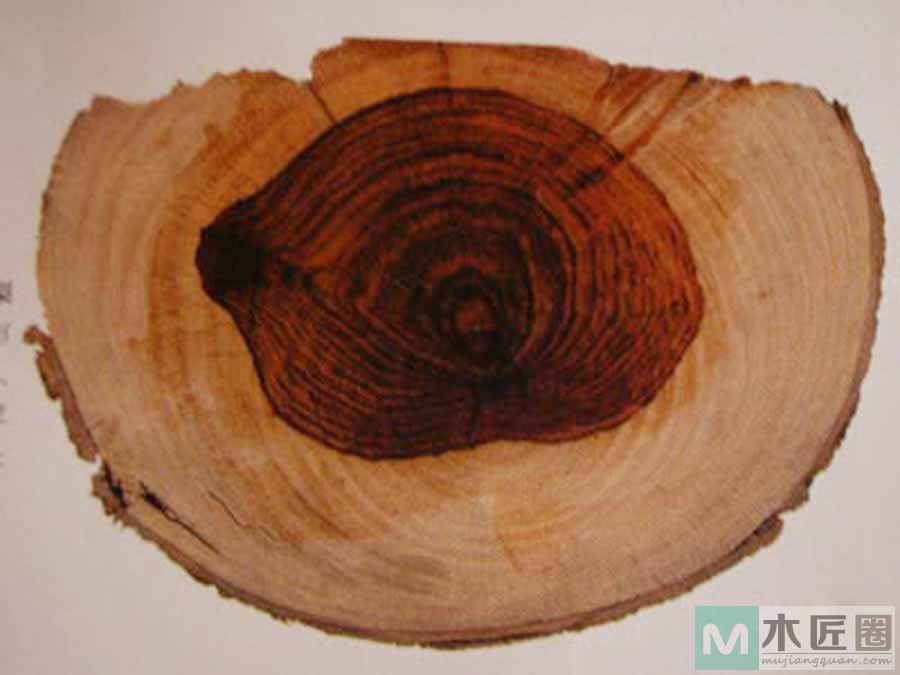 越南黄花梨鉴别图解