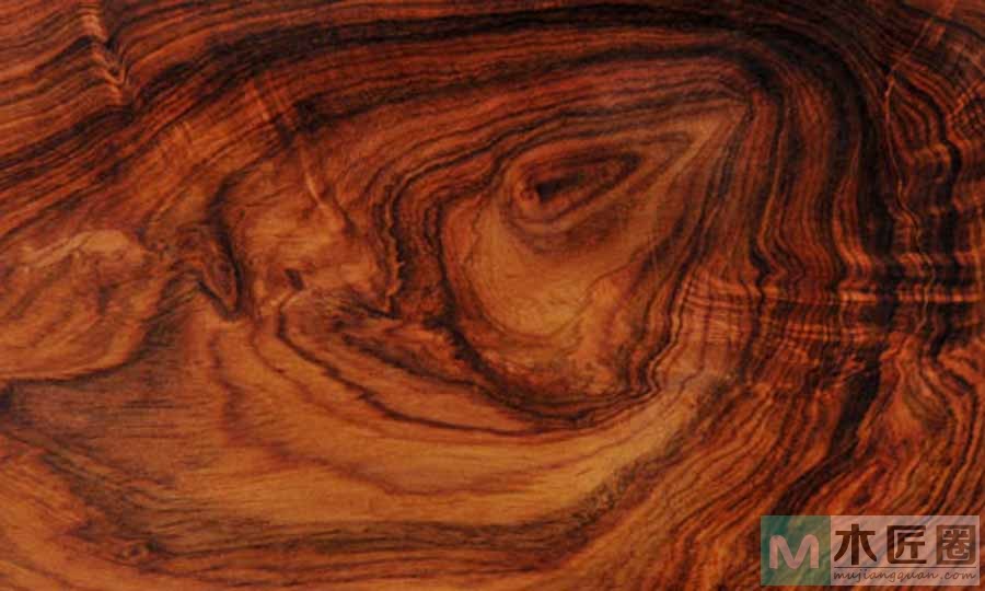 越南黄花梨鉴别图解