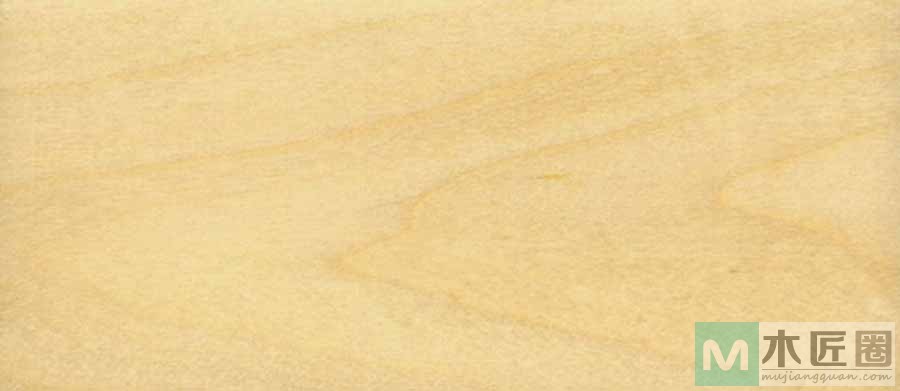 北美硬枫木，是一种耐寒树种，木质坚硬沉重