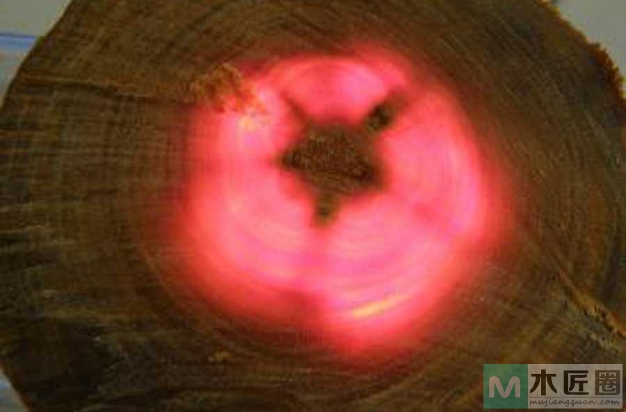 血龙木手串用的究竟是什么木头？如何鉴别血龙木真假？