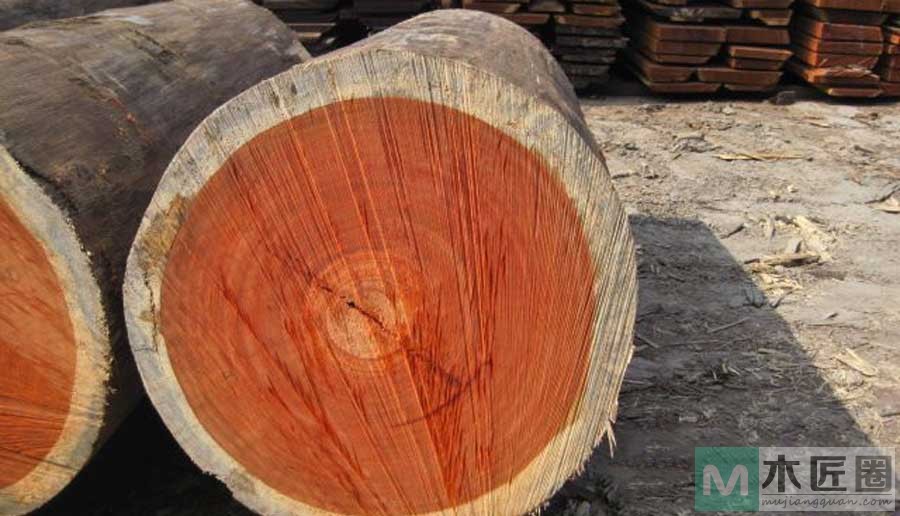 黄花梨木，是檀木的一种，常用于高贵的家具和木雕用材