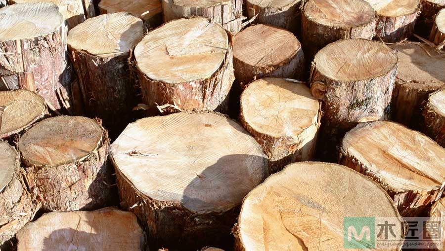 木工爱好者，图解手工制作木汤勺的方法