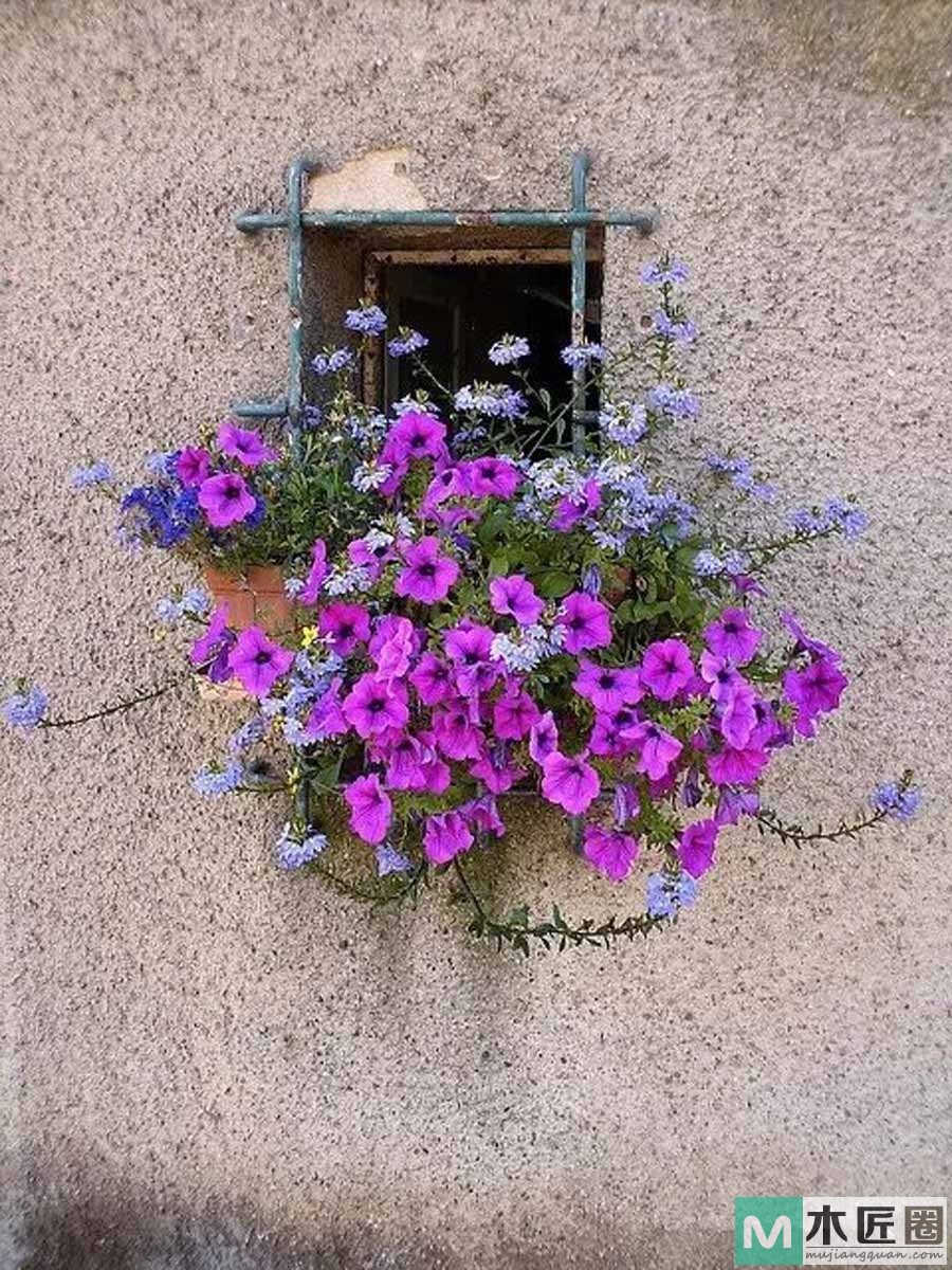 建筑设计的赏心悦目之感，德国的窗户是世界上最美！