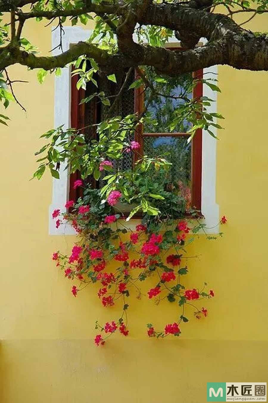 建筑设计的赏心悦目之感，德国的窗户是世界上最美！