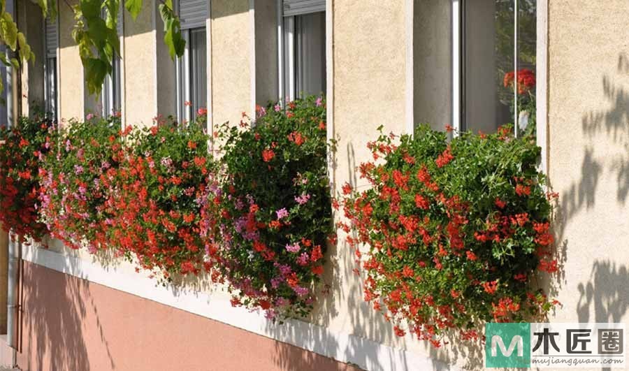 建筑设计的赏心悦目之感，德国的窗户是世界上最美！