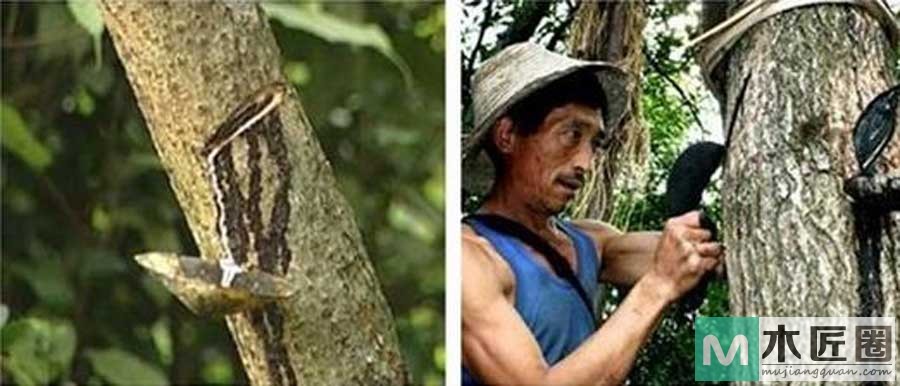 红木家具的涂饰工艺，为什么家具要擦生漆？