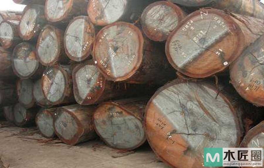 斑马木又名乌金木，木材坚韧，不易开裂变形