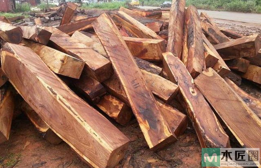 什么是刺猬紫檀？刺猬紫檀优缺点是什么？