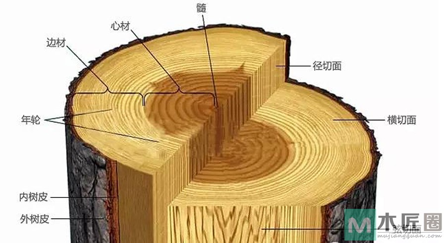 做实木家具，木匠师傅必懂的这些木材专业术语