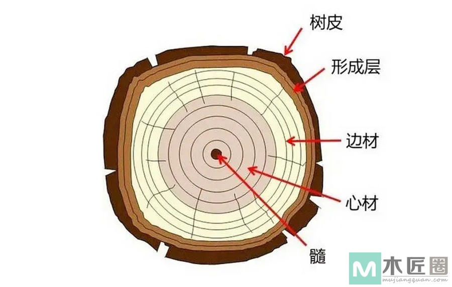 做实木家具，木匠师傅必懂的这些木材专业术语