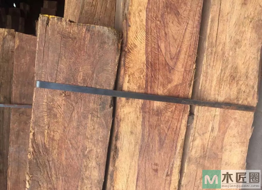 缅甸酸枝木究竟是不是红木？