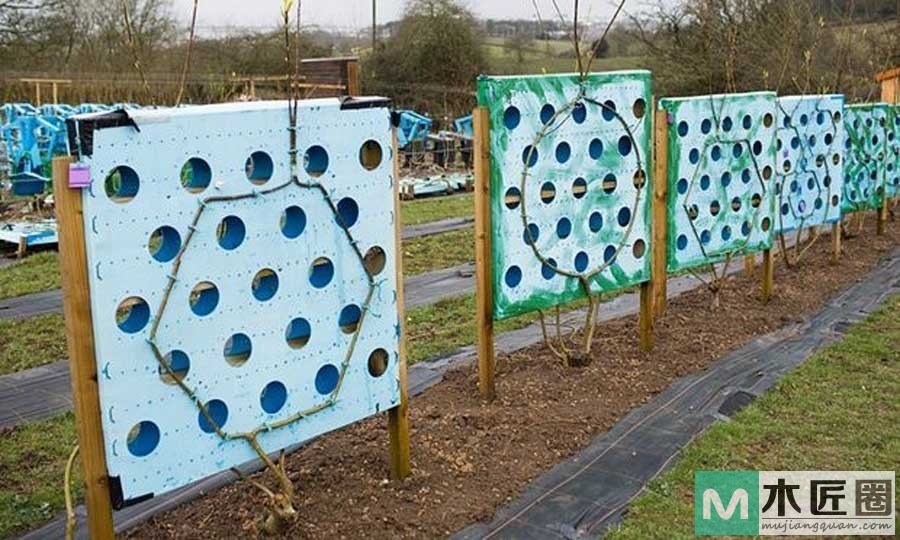 播下树苗长出椅子，一个种出来的创意家具