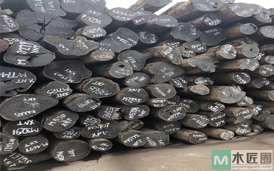 亚历山大紫檀的识别与用途