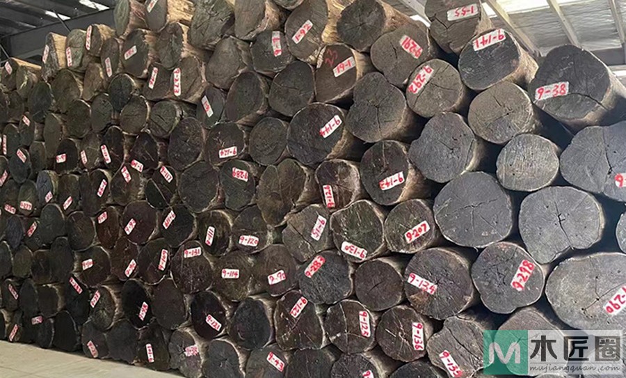 什么叫乌木怎么区别，现代乌木的特征有哪些？