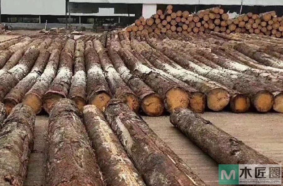 你知道木龙骨的规格吗？木龙骨用途有哪些？