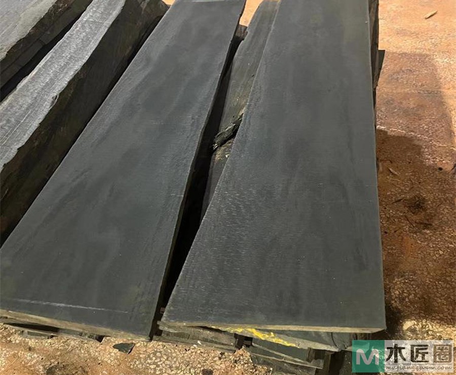 什么是厚瓣乌木，厚瓣乌木特征是什么？