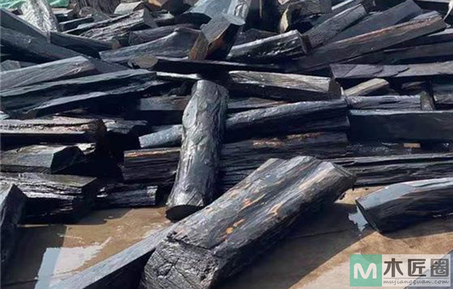 什么是厚瓣乌木，厚瓣乌木特征是什么？