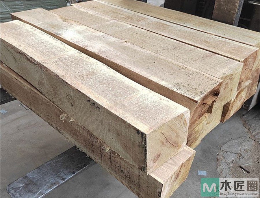 什么是铁桦木，什么被称为最硬的木材？