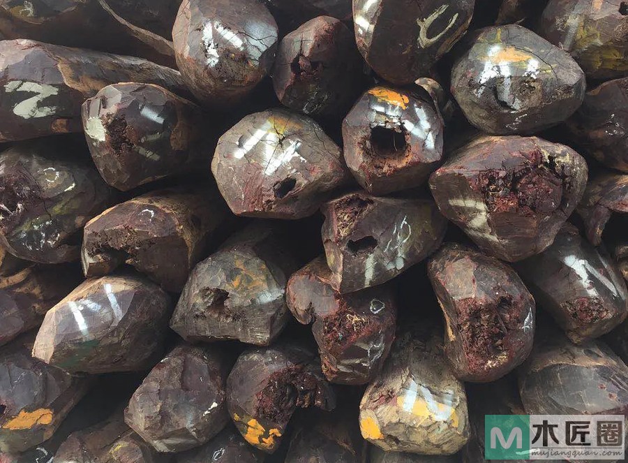 什么是紫檀木？紫檀木家具的优缺点是什么？