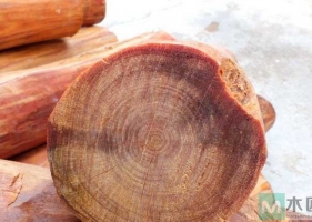 血龙木手串用的究竟是什么木头？如何鉴别血龙木真假？