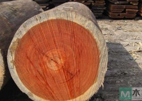 黄花梨木，是檀木的一种，常用于高贵的家具和木雕用材
