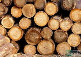 木材中含水分与干后重量百分比，木材中水分有哪几种？
