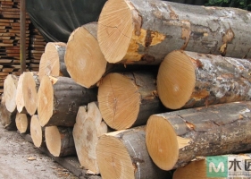 什么是奥古曼木材？奥古曼家具有什么优点？
