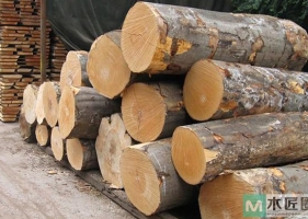 木材干燥前的保护措施，以及名称干燥的方法