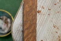 木头上有一块一块的斑点 是什么木头